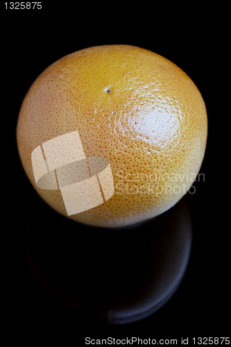 Image of Grapefruit