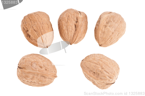 Image of Wallnuts