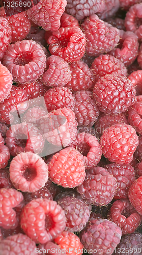 Image of Rasberries