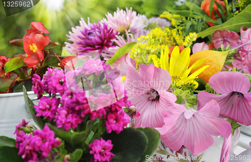 Image of sunny garden flower arrangement