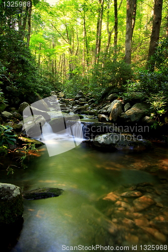 Image of cascading mountain stream