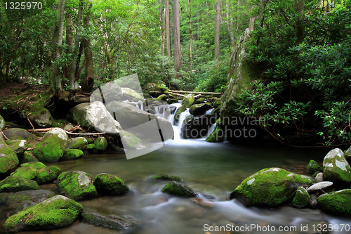 Image of cascading mountain stream