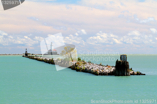 Image of chicago lake michigan lighthouse