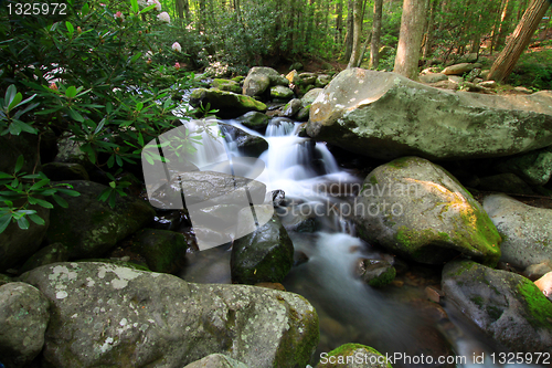 Image of beautiful mountain stream with cascading waterfalls