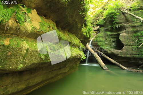 Image of waterfall two logs