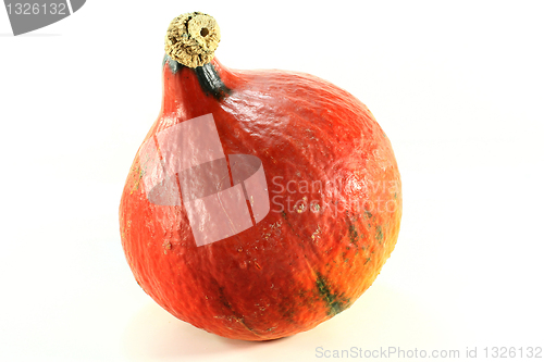 Image of pumpkin