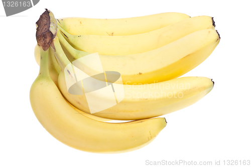 Image of Bananas