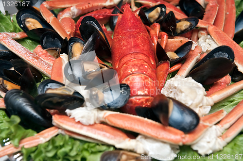 Image of Seafood platter