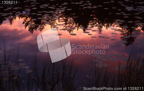 Image of Lake with water lilys in sunset