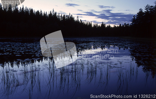 Image of Forest lake at night