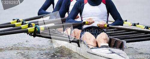 Image of Rowing team