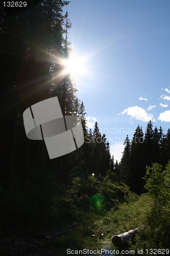 Image of Warm summer day