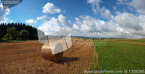 Image of Hay harvest