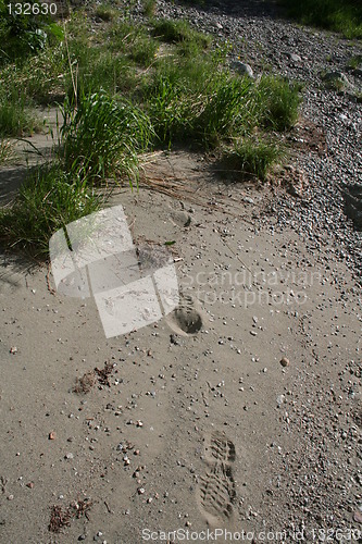 Image of Foot prints in the sand