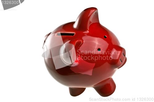 Image of Pig, money, and savings