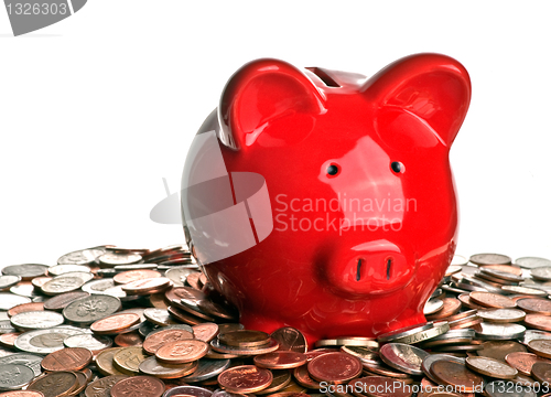 Image of Pig, money, and savings