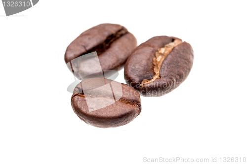 Image of Coffee beans