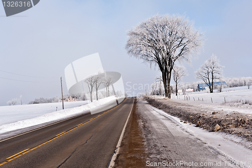 Image of Winter landscape, Ontario Canada