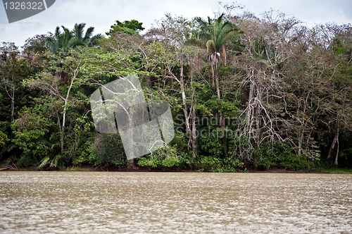 Image of Rainforest landscape in Panama
