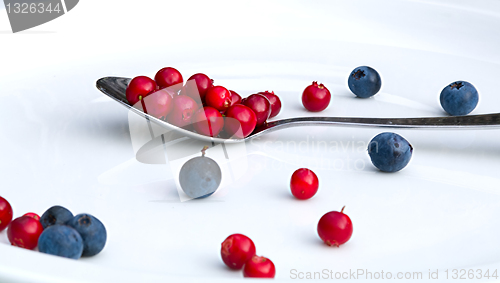 Image of A plate with cranberries and blue berries