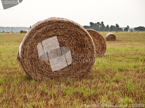 Image of Straw bales