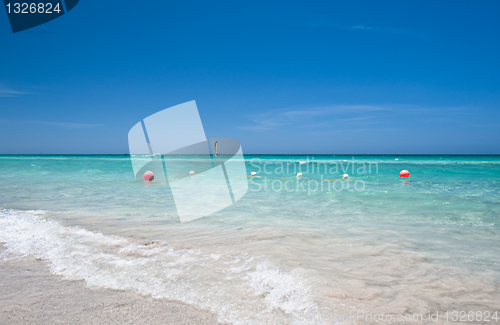 Image of Buoys in the water Pacific ocean