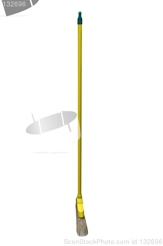 Image of Yellow Broom