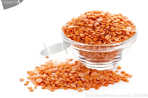 Image of Bowl of uncooked red lentils
