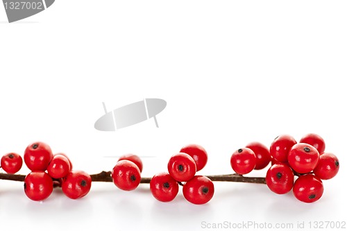 Image of Red Christmas berries