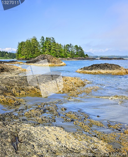 Image of Coast of Pacific ocean, Vancouver Island, Canada