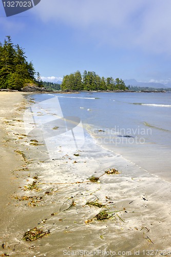 Image of Coast of Pacific ocean, Vancouver Island, Canada