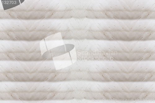Image of Feather Background