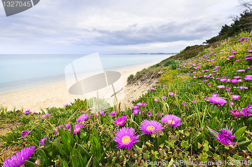 Image of Mediterranean landscape