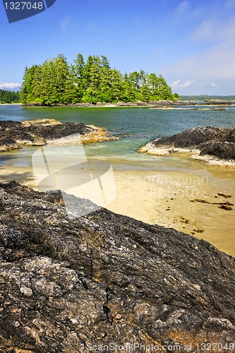 Image of Coast of Pacific ocean, Vancouver Island, Canada