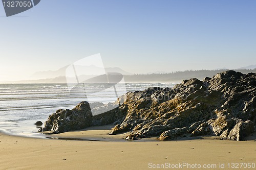 Image of Coast of Pacific ocean, Vancouver Island, Canada