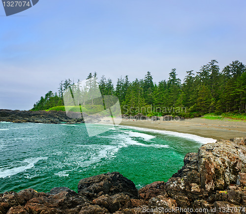 Image of Coast of Pacific ocean in Canada