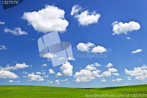 Image of Green rolling hills under blue sky