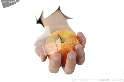 Image of hand is holding a apple 