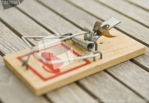 Image of mousetrap