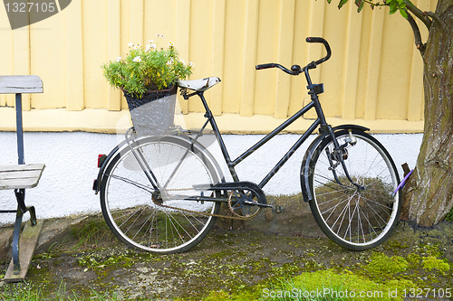 Image of Scandinavian bicycle