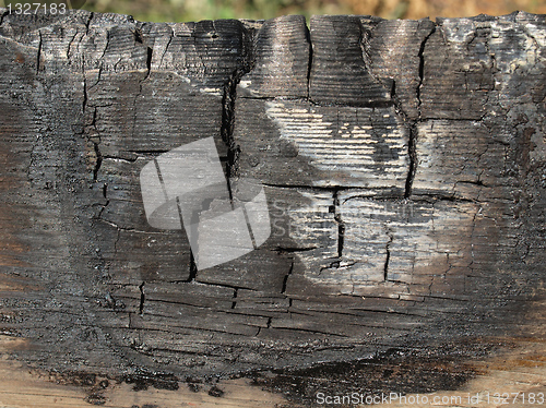 Image of Burned wood