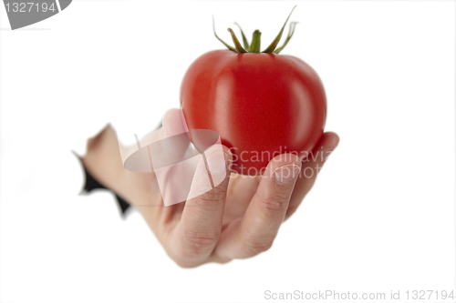 Image of hand is holding a tomato