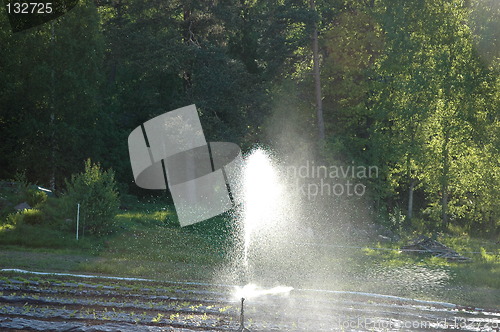 Image of Irrigation