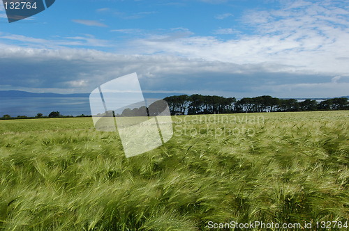 Image of Irish Landscape