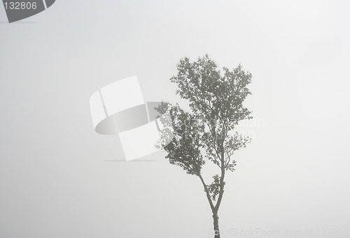 Image of Foggy landscape