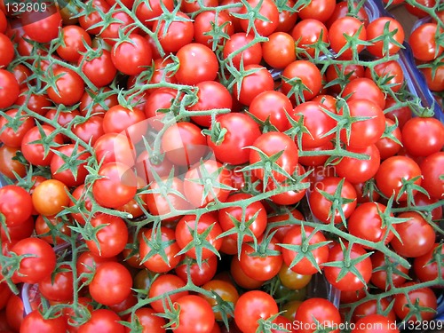 Image of Red tomatoes