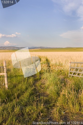 Image of Open Gate to a Field with Clear Skies and a Small Shed