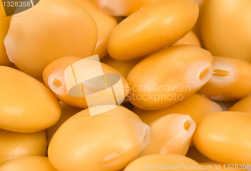 Image of Lupin beans