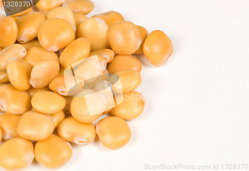 Image of Lupin beans