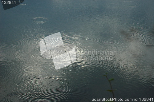 Image of Rings in water